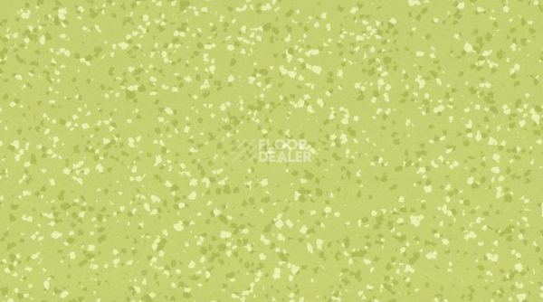 Линолеум Taralay Premium Compact Barazilia 8577 AMAZONAS фото 1 | FLOORDEALER